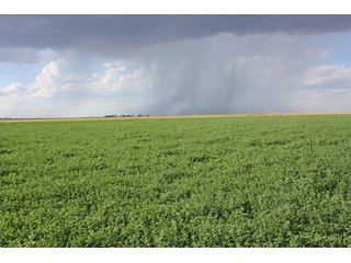 Property photo 108 - LAND AUCTION, 3255+/- Acres offered in 13 Tracts